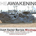 TheAwakening.UpliftingTrance.WDC.July2009.EXBMixology