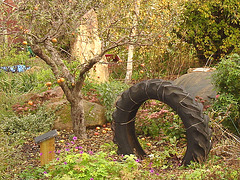 Pneu décoratif parmi la verdure suédoise / Tyre among the swedish  greenery - Båstad  /  Suède - Sweden.   21-10- 2008.
