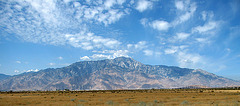 Mt. San Jacinto (0345)