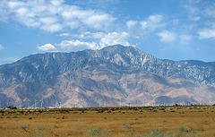 Mt. San Jacinto (0346)