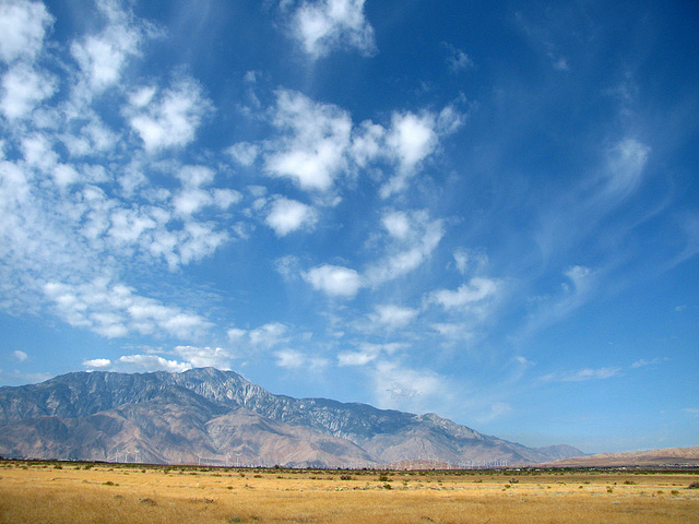 Mt. San Jacinto (0347)