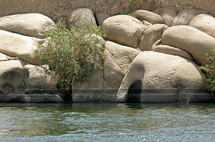 Nilwasserstand