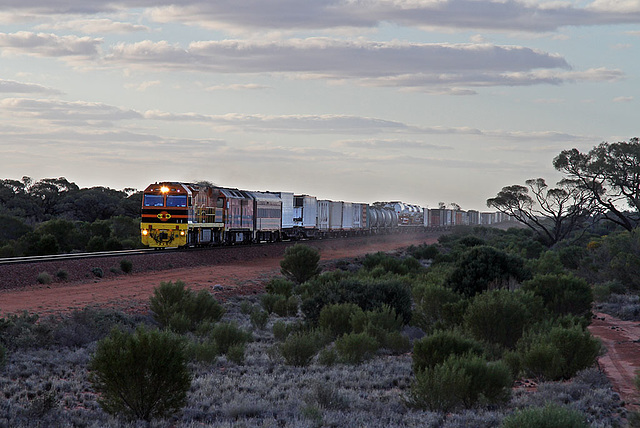 On the tracks of the Ghan