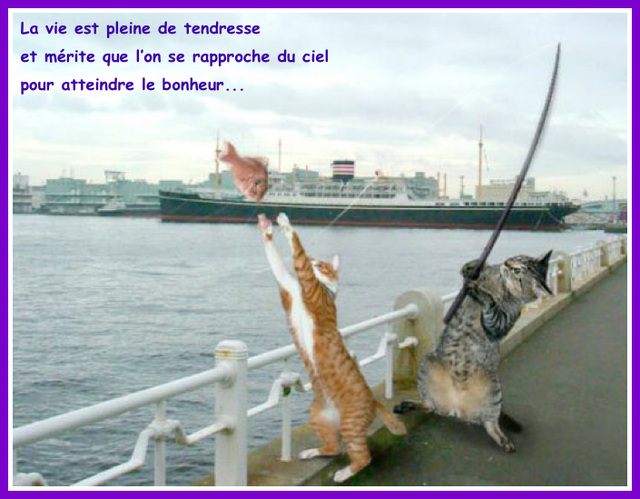Jacques Brel chante : La Tendresse Jacques Brel chante : La Tendresse