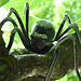 metal spider (preparing to bite)