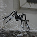 metal spider (lurking)