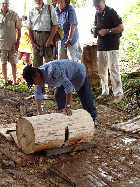 Stripping the Bark from a Sago Trunk
