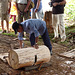 Stripping the Bark from a Sago Trunk