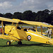 de Havilland DH82A Tiger Moth A17-4?? (Royal Australian Air Force)l