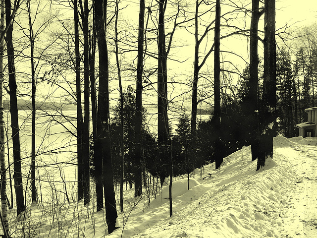 Paysages d'hiver à proximité de l'abbaye de St-Benoit-du-lac au Québec .  7 Février 2009 - Vintage