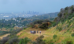 Hollywood Sign Hike (3978)