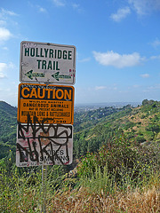 Hollywood Sign Hike (3972)