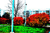 Fall Colors in Sidliste Haje, Supersaturated version, Prague, CZ, 2008