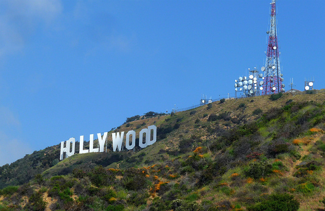 Hollywood Sign (3973)