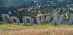Hollywood Sign (3984)