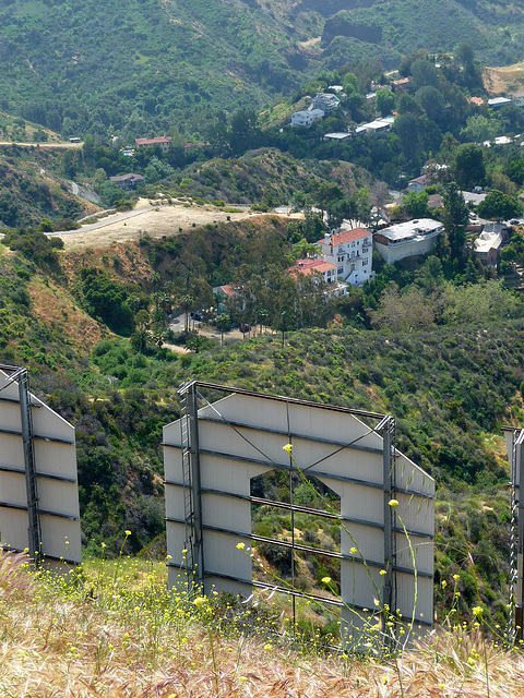 Hollywood Sign (3991)