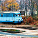 CD #451050-9 at Hostivar in Fall, Picture 2, High-Saturation Version 2, Prague, CZ, 2008