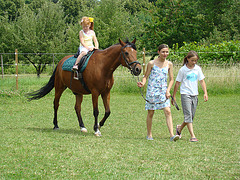 3 girls, 1 horse