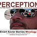 Perception.Trance.DanielLoubscher.WDC.July2009.EXBMixology