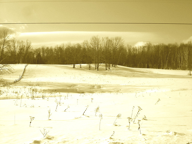 Paysages d'hiver à proximité de l'abbaye de St-Benoit-du-lac au Québec .  7 Février 2009 -  Sepia