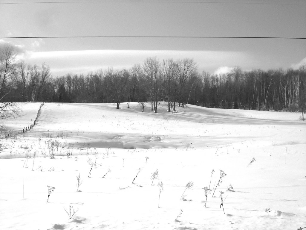 Paysages d'hiver à proximité de l'abbaye de St-Benoit-du-lac au Québec .  7 Février 2009-  B & W