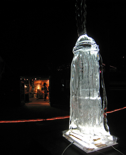 Ice Sculpture (2836)