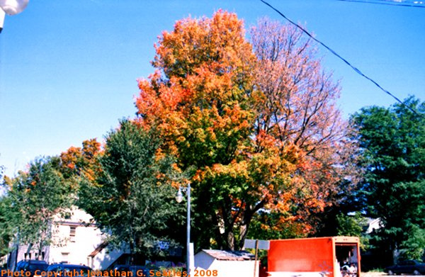 Beekman Street In The Fall, Picture 4, Edit for Color, Saratoga Springs, NY, USA, 2008
