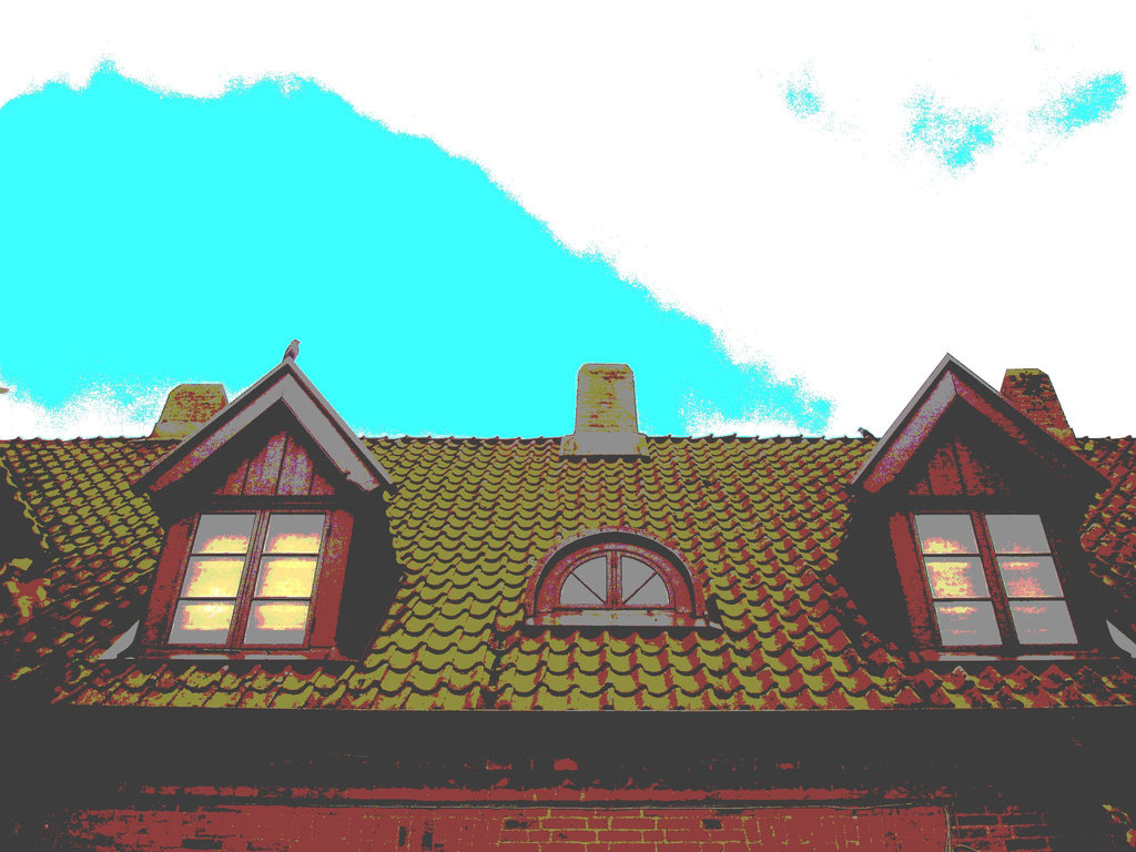 Maison  Skanegarden house - Båstad / Suède - Sweden.  21-10-2008  - Postérisation