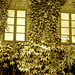 Maison  Skanegarden house - Båstad / Suède - Sweden.  21-10-2008  -  Version sépiatisée