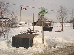Twin maples farm / St-Benoit-du-lac, Québec, Canada - 7 février 2009 -    Avec flash !
