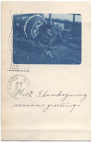 Thanksgiving Season's Greetings, 1908
