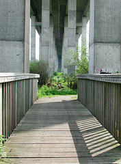 Brücke unter der Brücke