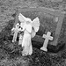 Mountain view cemetery. Saranac lake area.  NY. USA . March 29th 2009 - B & W