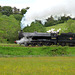 Q6 0-8-0 No. 63395 Leaving Goathland for Pickering