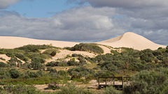 The Eastern Dunes