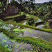 Balinese paddy terraces