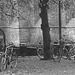 Église et vélos /  Church & bikes scenery  -  Helsingborg / Suède - Sweden.  22 octobre 2008- N & B