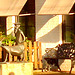 Banc et sculpture bancaire / SEB bench & sculpture welcoming scenery -  Båstad /  Suède - Sweden.  23 octobre 2008 - Original blurry close-up /  Flou cadrage original