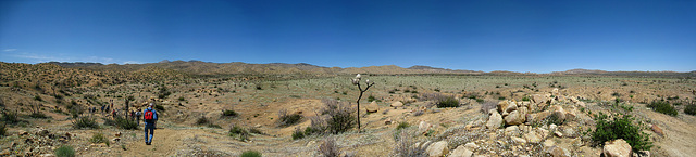 High Desert Pano (2)