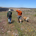 Hiking On The Mesa (4093)