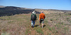 Hiking On The Mesa (4094)