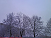 Second Snow in Sidliste Haje, Picture 3, Prague, CZ, 2009