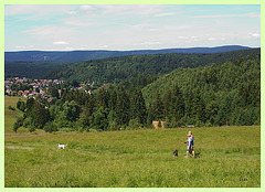 Wiesen über Altenau im Harz