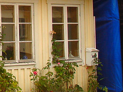 Maison / House  No-47  .  Båstad .  Suède / Sweden.  21-10-2008