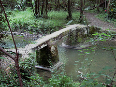 Le pont du violon - Moisenay (77)