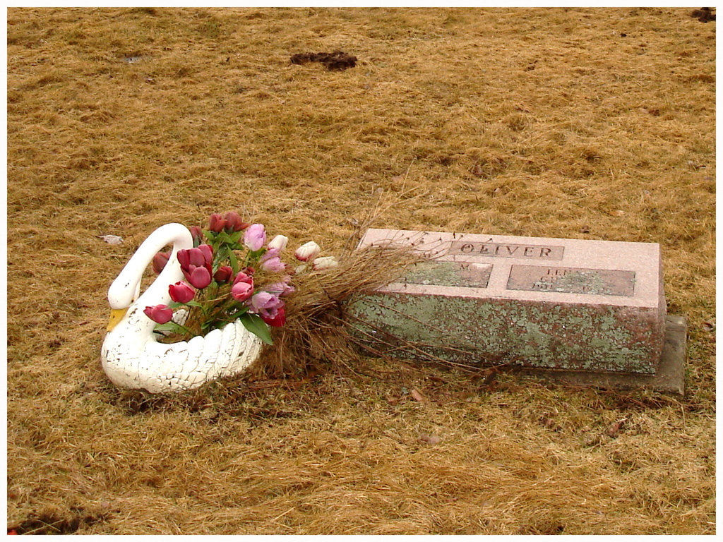 Cimetière américain typique /  Mountain view cemetery. Saranac lake area.  NY. USA . March 29th 2009-  Oliver et son cygne fleuri - Recadrage