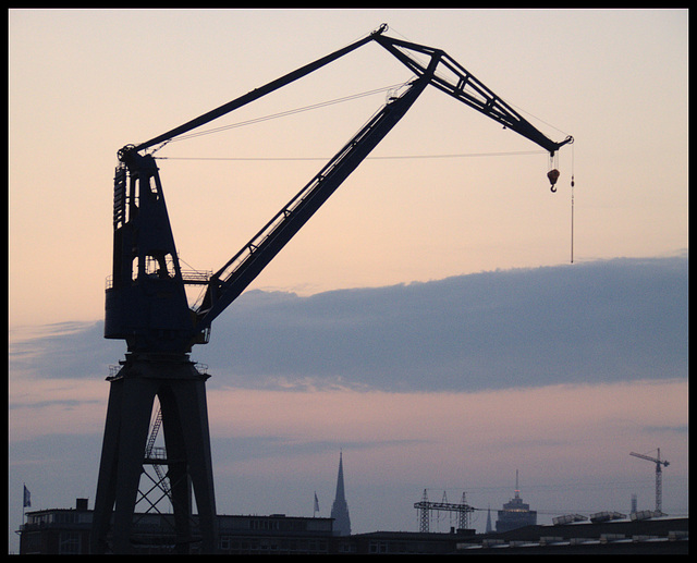 Crane in the morning