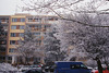 Snow in Sidliste Haje, Picture 3, Prague, CZ, 2009