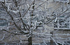 Snow in Sidliste Haje, Picture 4, Prague, CZ, 2009