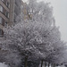Snow in Sidliste Haje, Picture 6, Prague, CZ, 2009